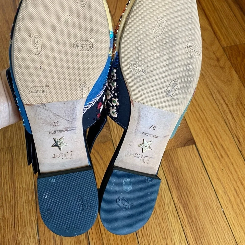 Dior Multicolor Embroidered Women's Shoes